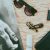 Capsule wardrobe – jak zbudować garderobę zgodną z trendami?